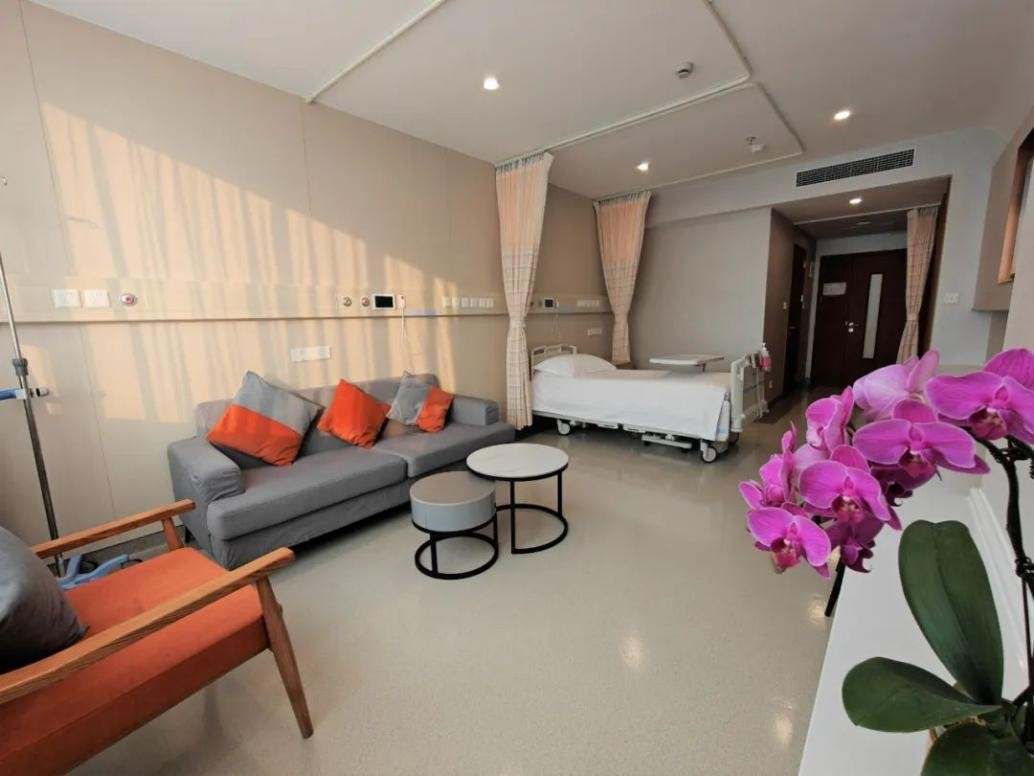 International Medical Center, Huashan Hospital, Fudan University view 2